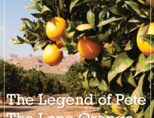 The Legend of Pete the Lone Orange